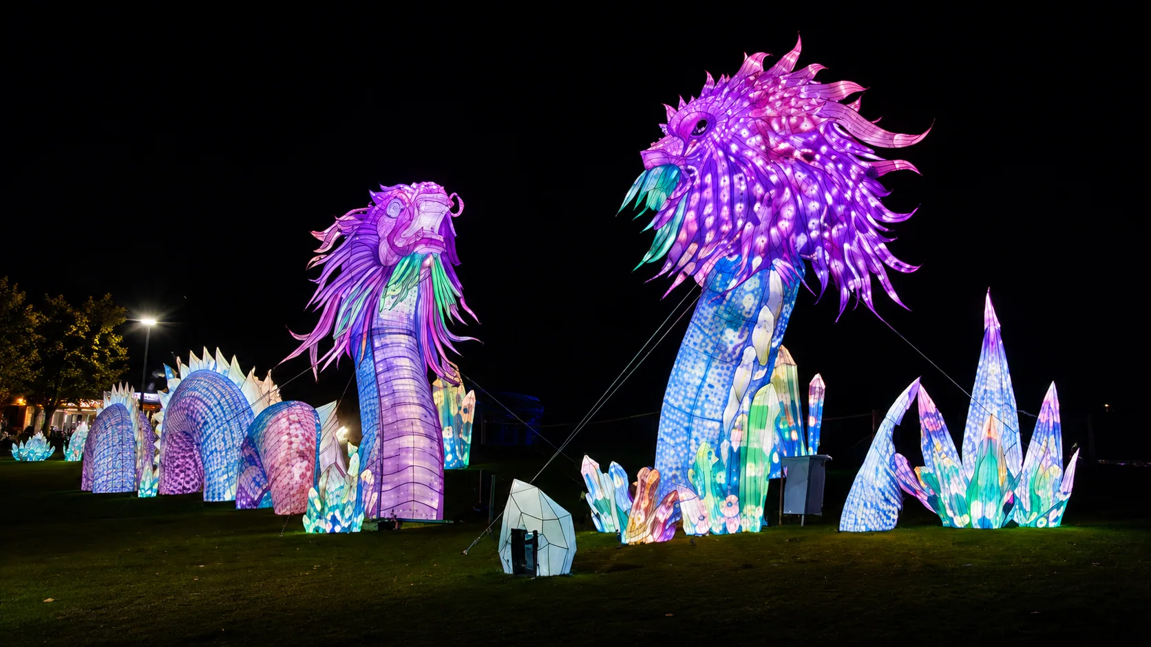 Fantasy dragon lantern scene illuminated at night