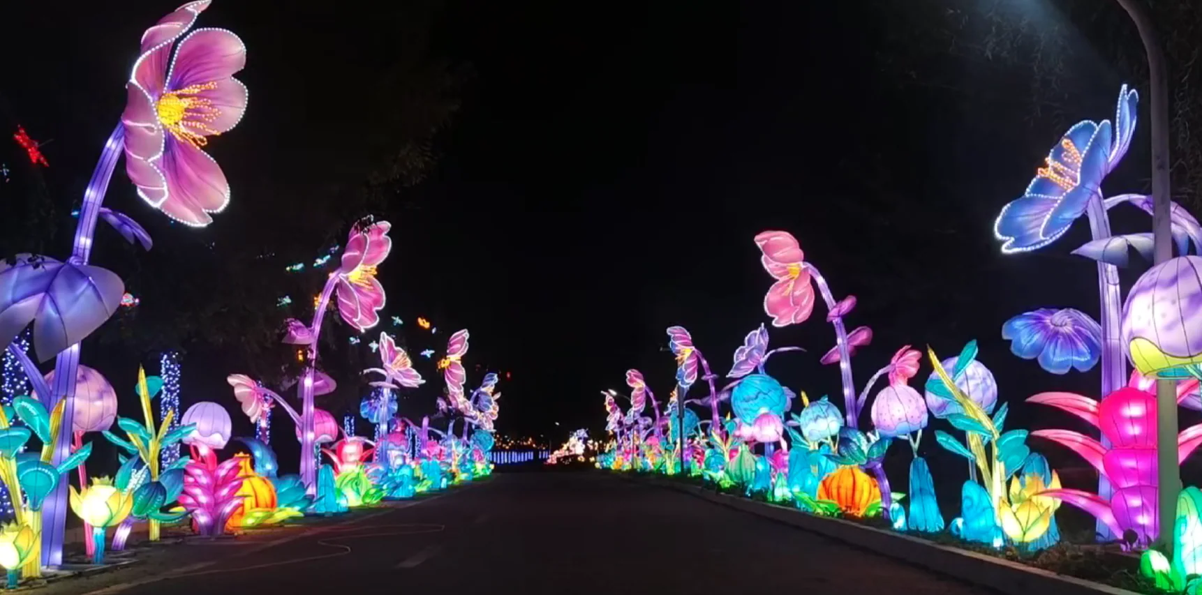 Illuminated flower trail at the Birmingham Magic Lantern Festival