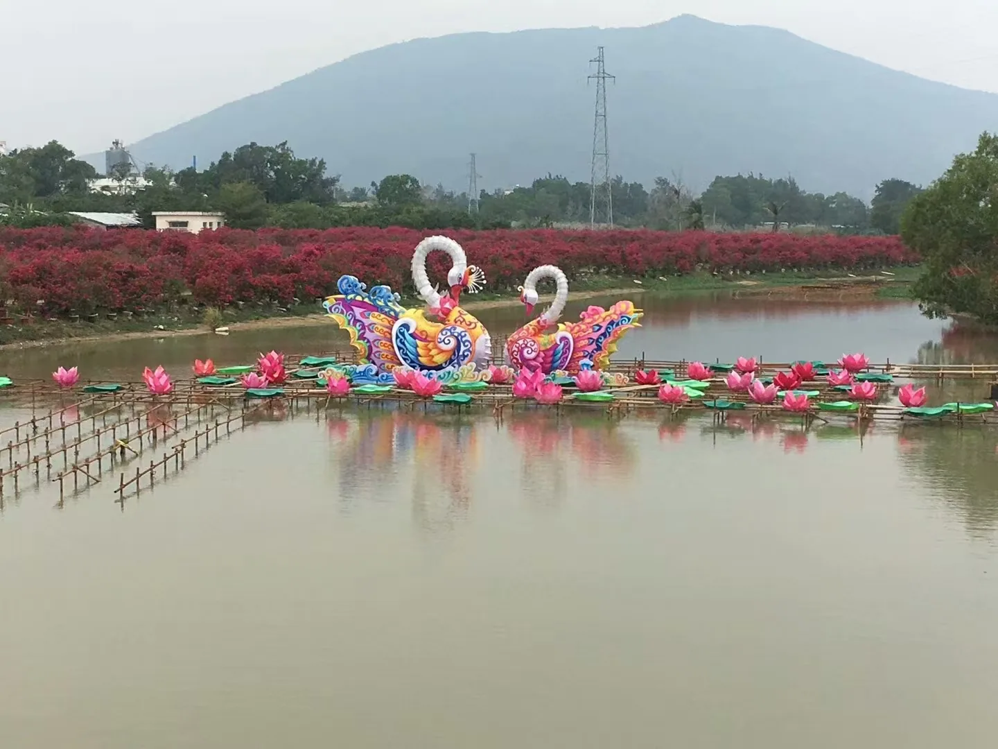 Daytime swan lanterns installed on a lake with mountains in the background in Sochi