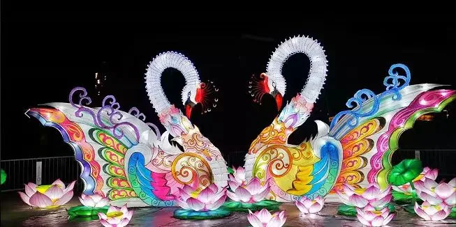 Colorful swan and lotus lanterns glowing at night